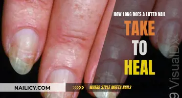 Healing a Lifted Nail: What's the Timeline?