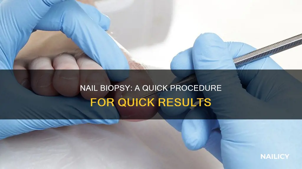 how long does a nail biopsy take