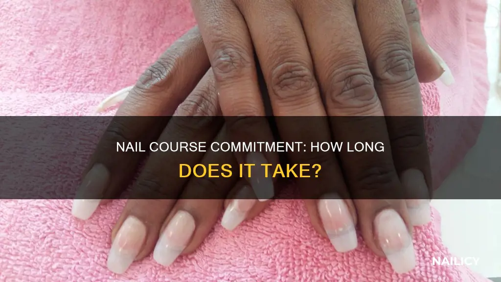 how long does a nail course ta
