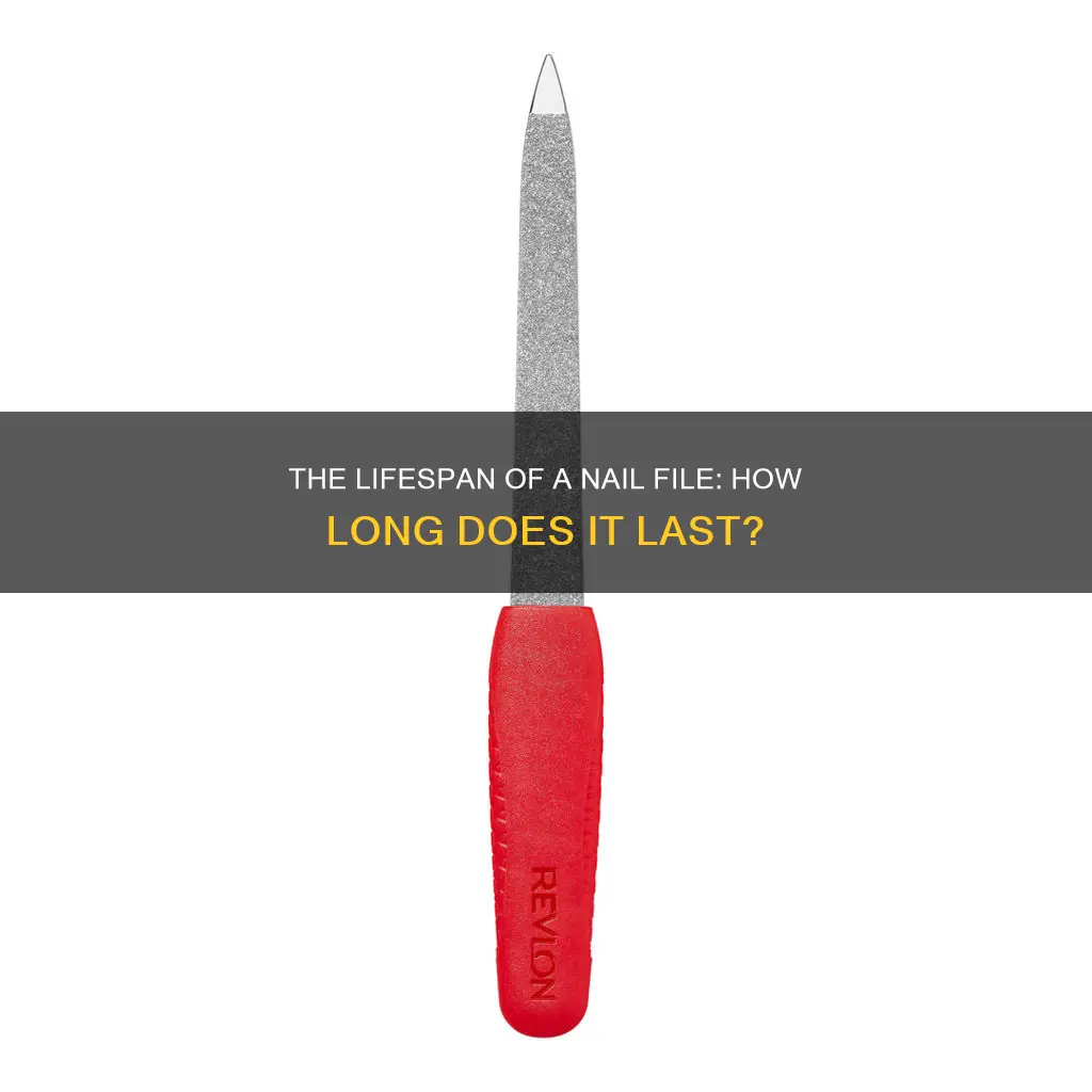 how long does a nail file