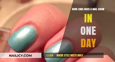 Nail Growth: Daily Rate and Factors
