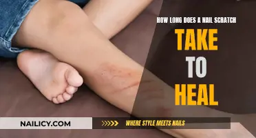 Healing Time for Nail Scratches: How Long?