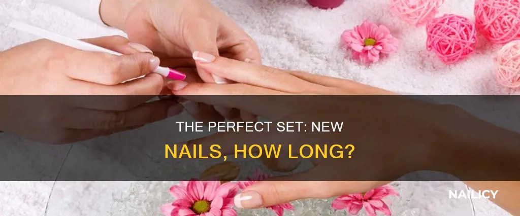 how long does a new set of nails take