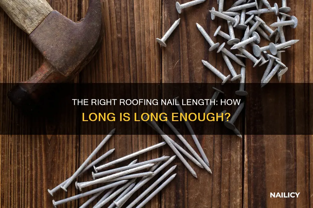 how long does a roofing nail need to be