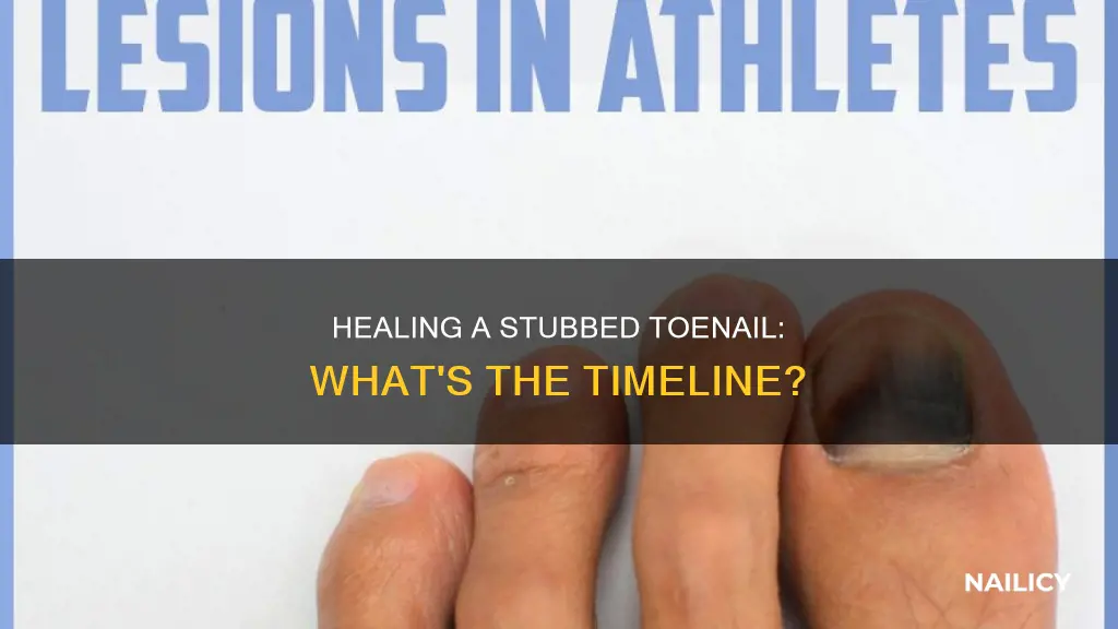how long does a stubbed toe nail take to heal