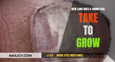The Growth of Thumb Nails: How Long Does it Take?