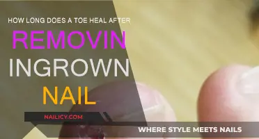 Toe Recovery: Ingrown Nail Removal Healing Timeline
