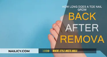Toe Nail Regrowth: How Long for a New Nail?