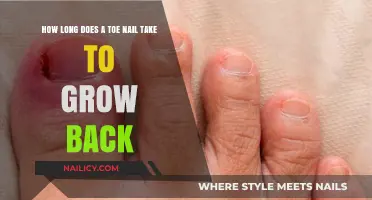 Toe Nail Growth: How Long to Regrow?