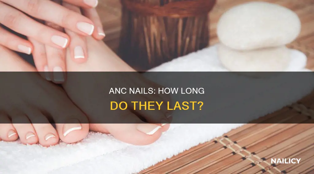 how long does anc nails last