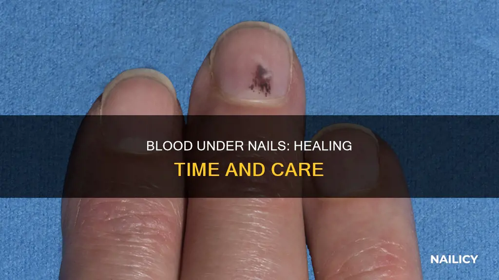 how long does blood under nail take to heal