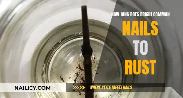 Bright Common Nails: Rust Resistance and Longevity