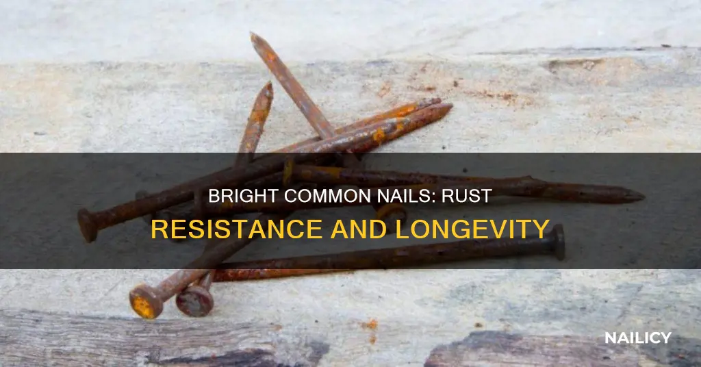 how long does bright common nails to rust