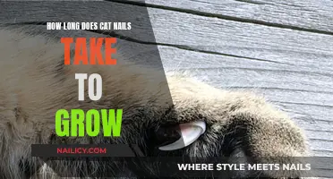 Cat Claw Growth: How Long Does it Take?