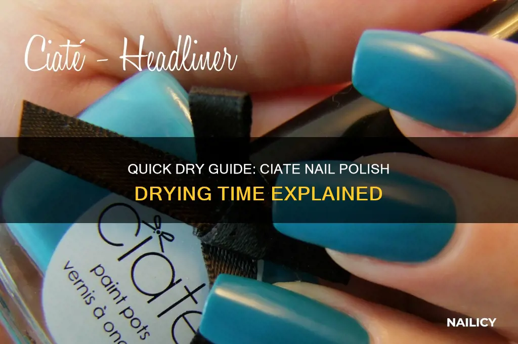how long does ciate nail polish take to dry