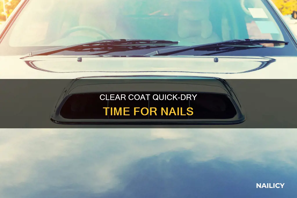 how long does clear coat take to dry nails