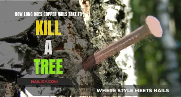 Copper Nails: Killing Trees, How Long Does It Take?