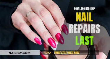 Dip Nail Repairs: How Long Do They Last?