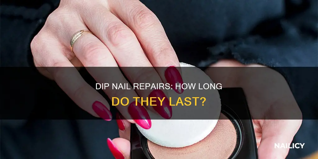 how long does dip nail repairs last
