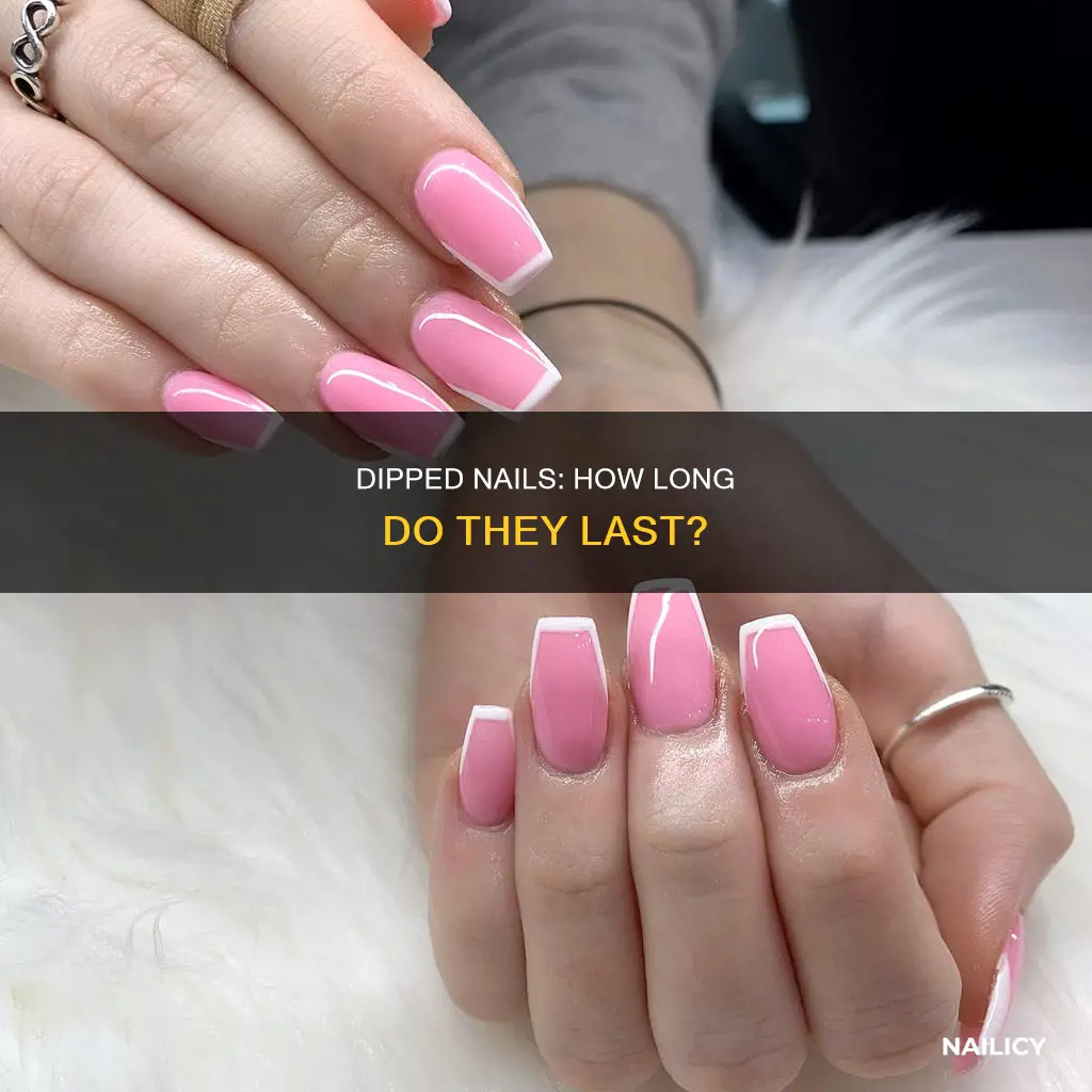 how long does dipped nails last
