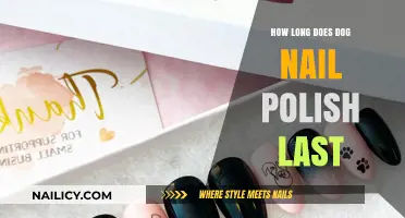Dog Nail Polish Durability: How Long Does It Really Last?