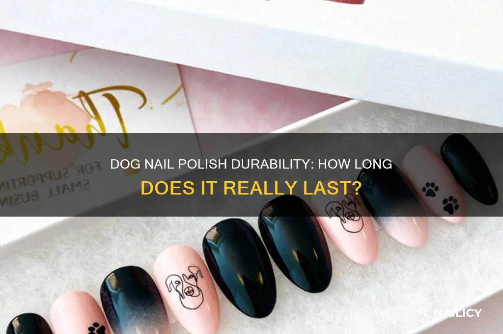 how long does dog nail polish last