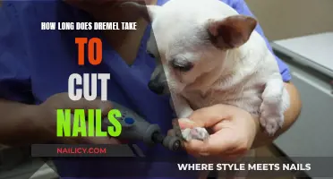 Dremel Nail Trimming: Quick, Easy and Safe