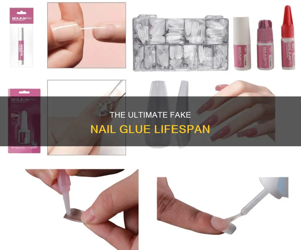 how long does fake nail glue last