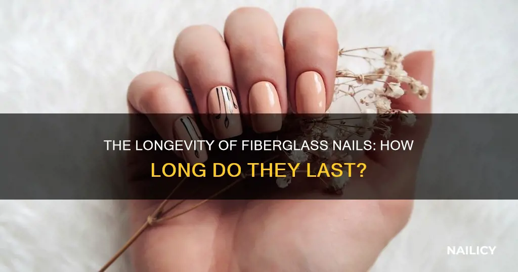 how long does fiberglass nails last