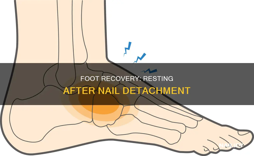 how long does foot have to rested after nail detatches
