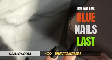 Glue Nails: How Long Do They Really Last?