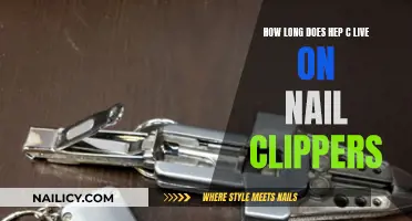 Hep C Survival on Nail Clippers: How Long?