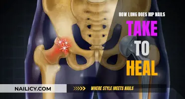 Healing Time for Hip Nails: What to Expect