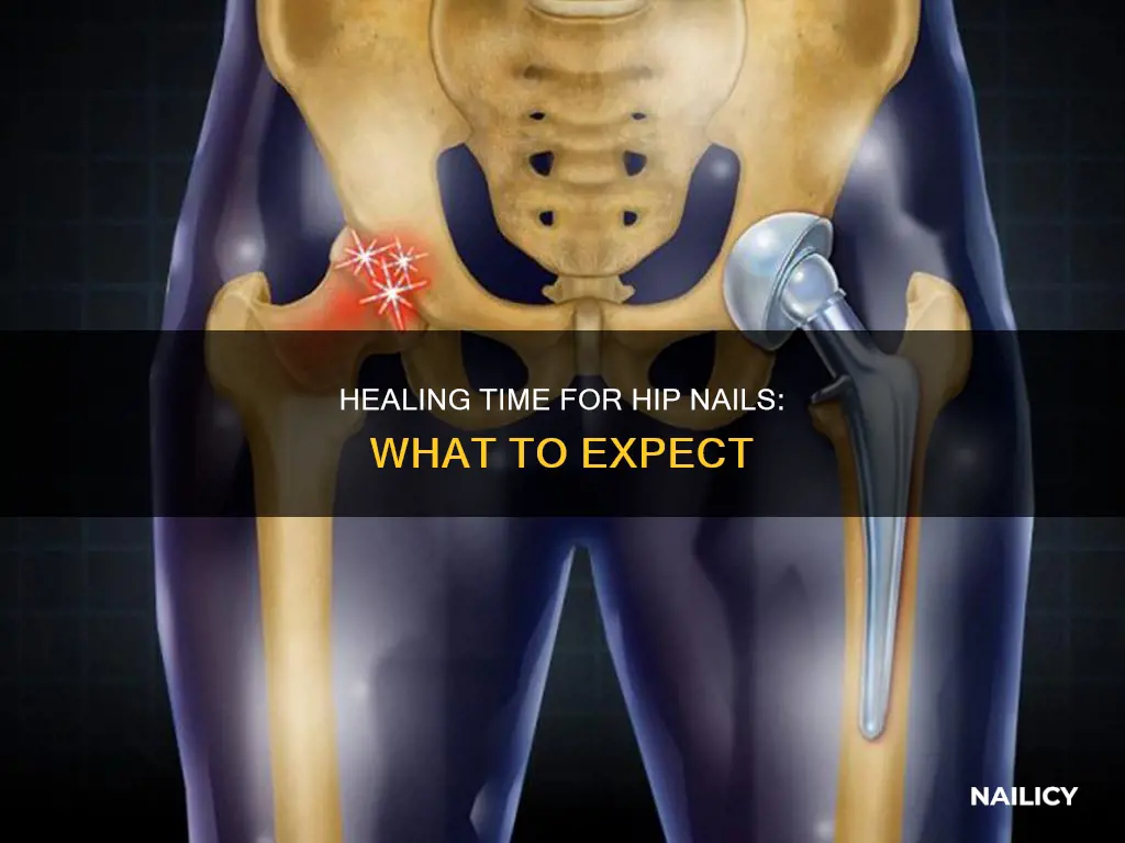 how long does hip nails take to heal