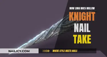 The Hollow Knight's Nail: Time to Master