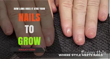 The Growth of Nails: How Long Does it Take?