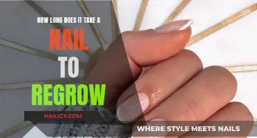 Nail Regrowth: How Long Does It Take?
