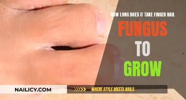 Nail Fungus Growth: Understanding the Timeline