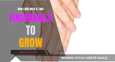 Fingernail Growth: How Long Does it Take to Grow?