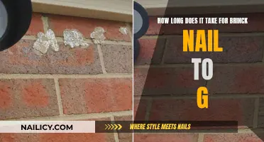 The Ultimate Guide to Brick Nail Growth