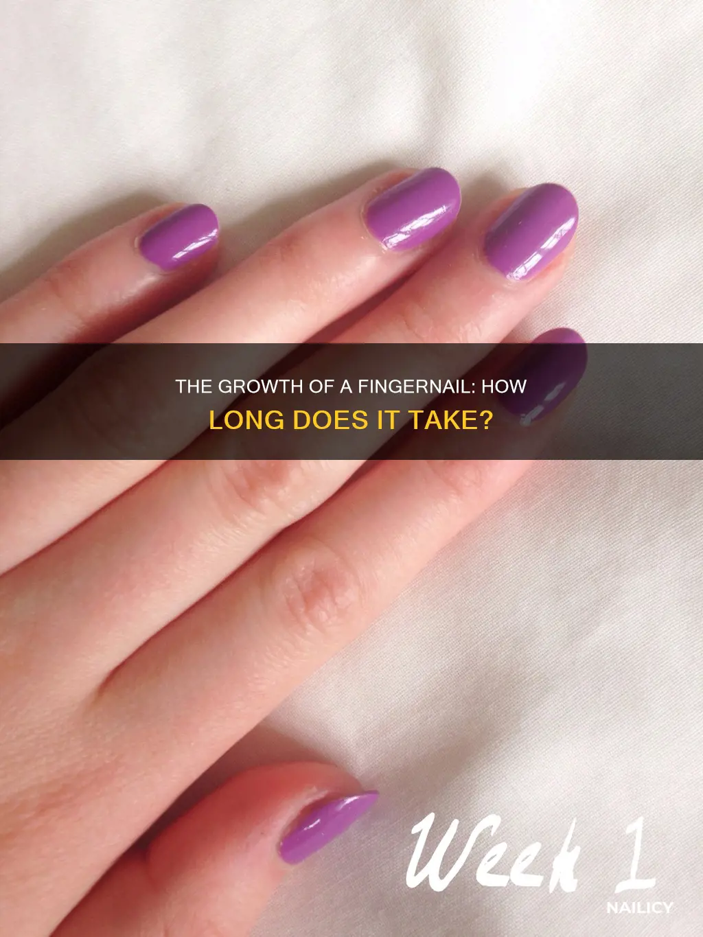 how long does it take for brinck nail to grow
