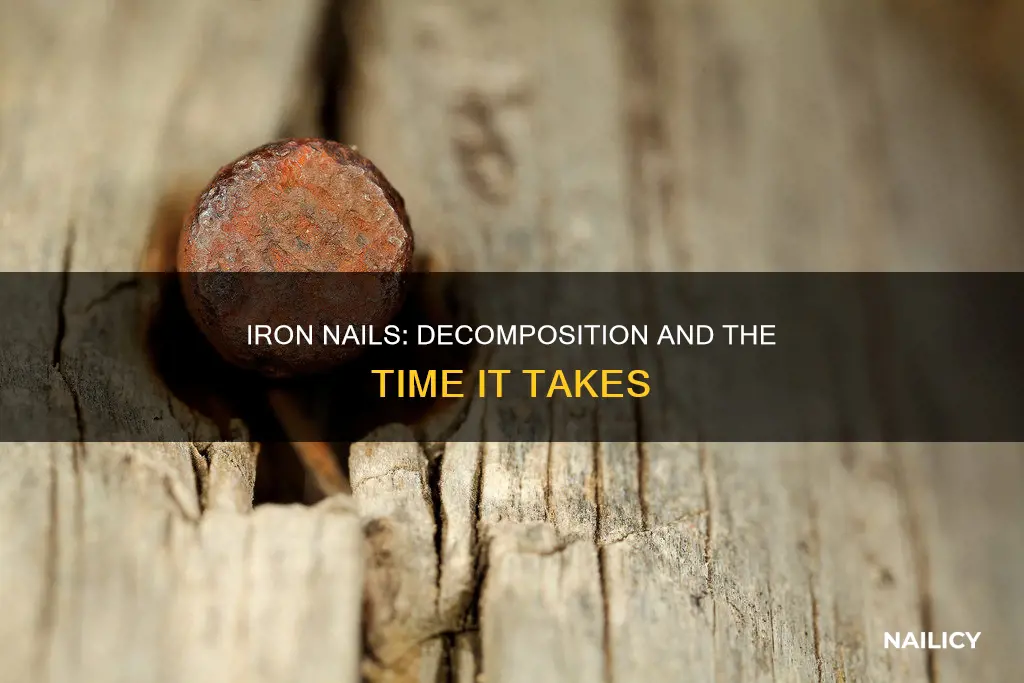 how long does it take for iron nails to decompose