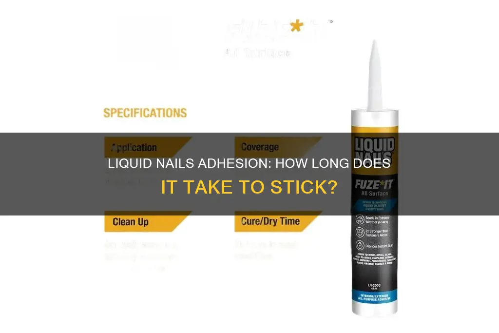 how long does it take for liquid nails to stick