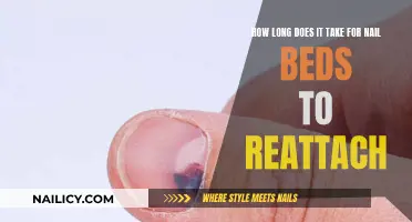 Reattaching Nail Beds: The Healing Timeline Explained