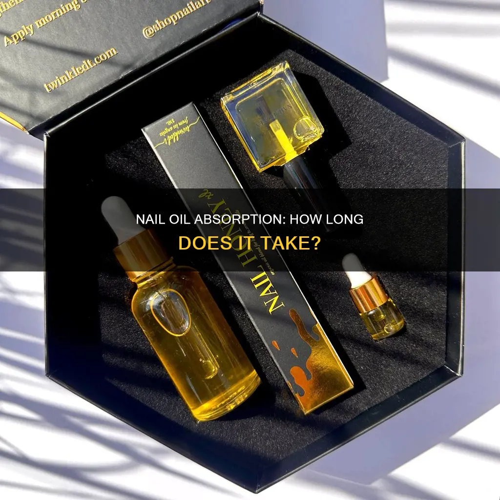 how long does it take for nails to absorb oil