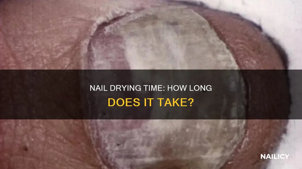 how long does it take for nails to dru