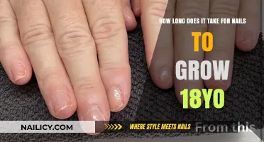 Nail Growth: How Long Does it Take for Healthy Nails?