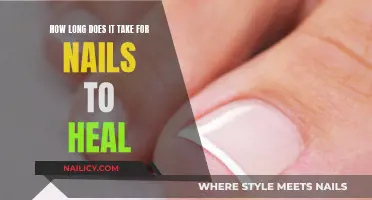 Healing Nails: Time Needed for Healthy Growth