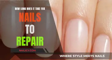 Repairing Nails: How Long Does It Take to Recover?