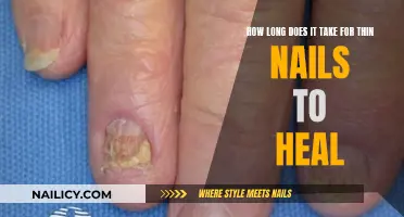 Thin Nails: Healing Time and Factors Affecting It